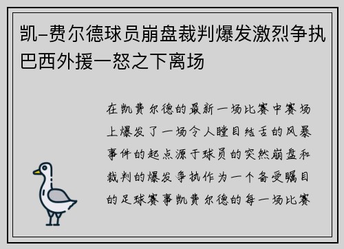 凯-费尔德球员崩盘裁判爆发激烈争执巴西外援一怒之下离场