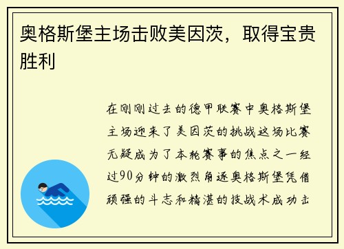 奥格斯堡主场击败美因茨，取得宝贵胜利