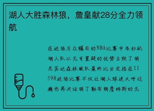 湖人大胜森林狼，詹皇献28分全力领航