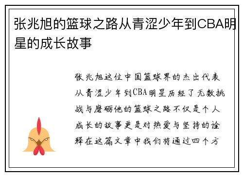 张兆旭的篮球之路从青涩少年到CBA明星的成长故事