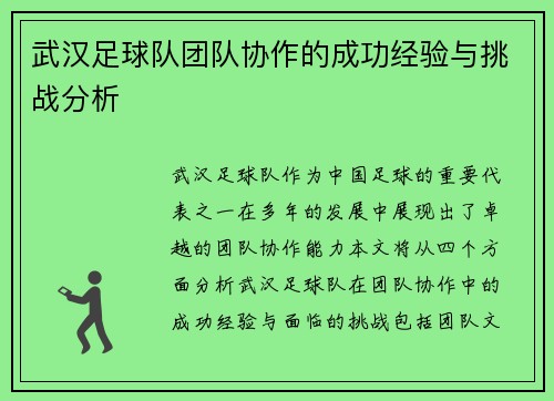 武汉足球队团队协作的成功经验与挑战分析