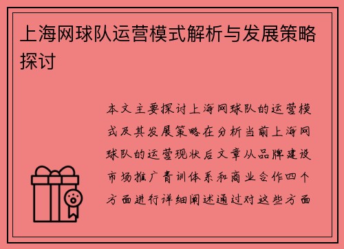 上海网球队运营模式解析与发展策略探讨